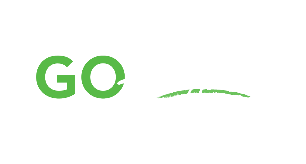 Go Beyond with Go Next
