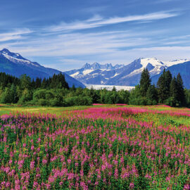 Juneau, Alaska
