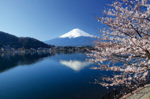 Shimizu