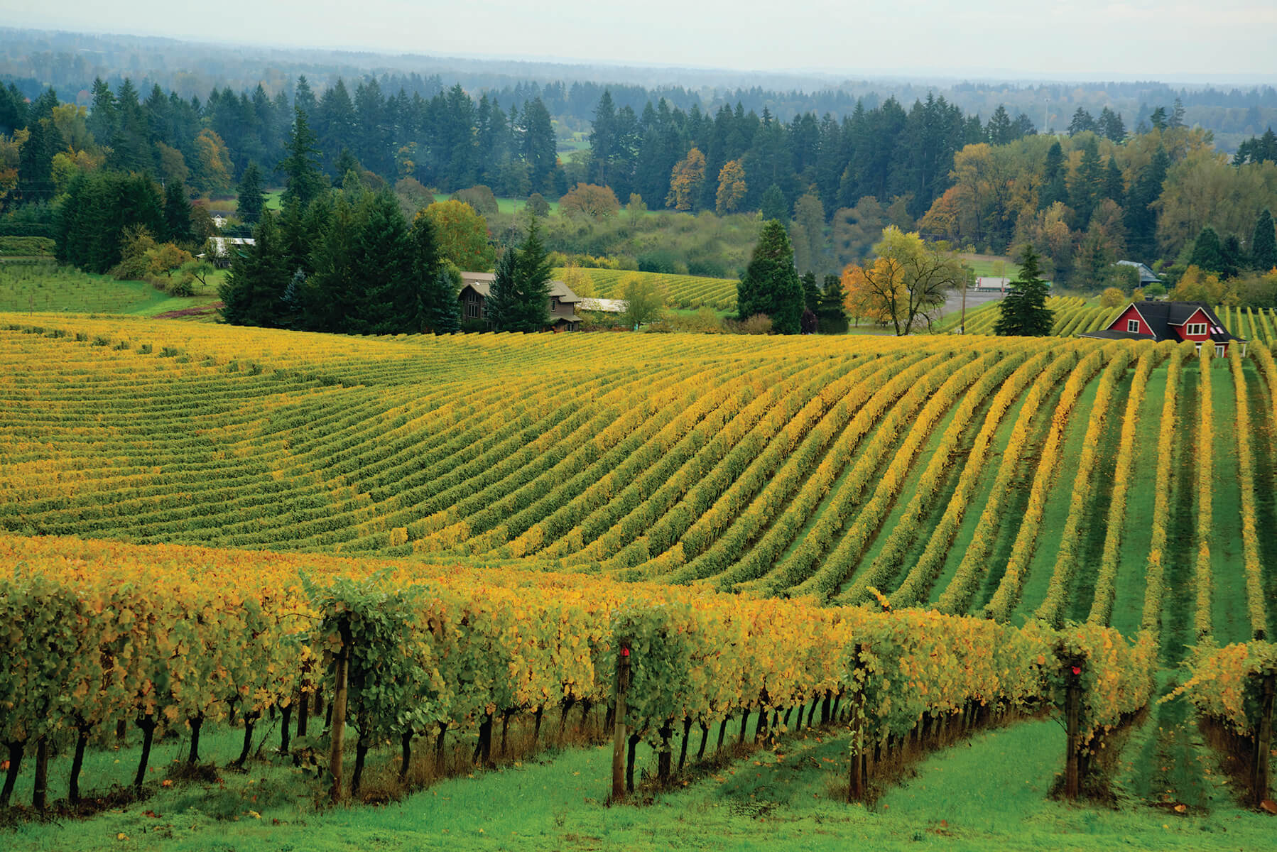 travel willamette valley oregon