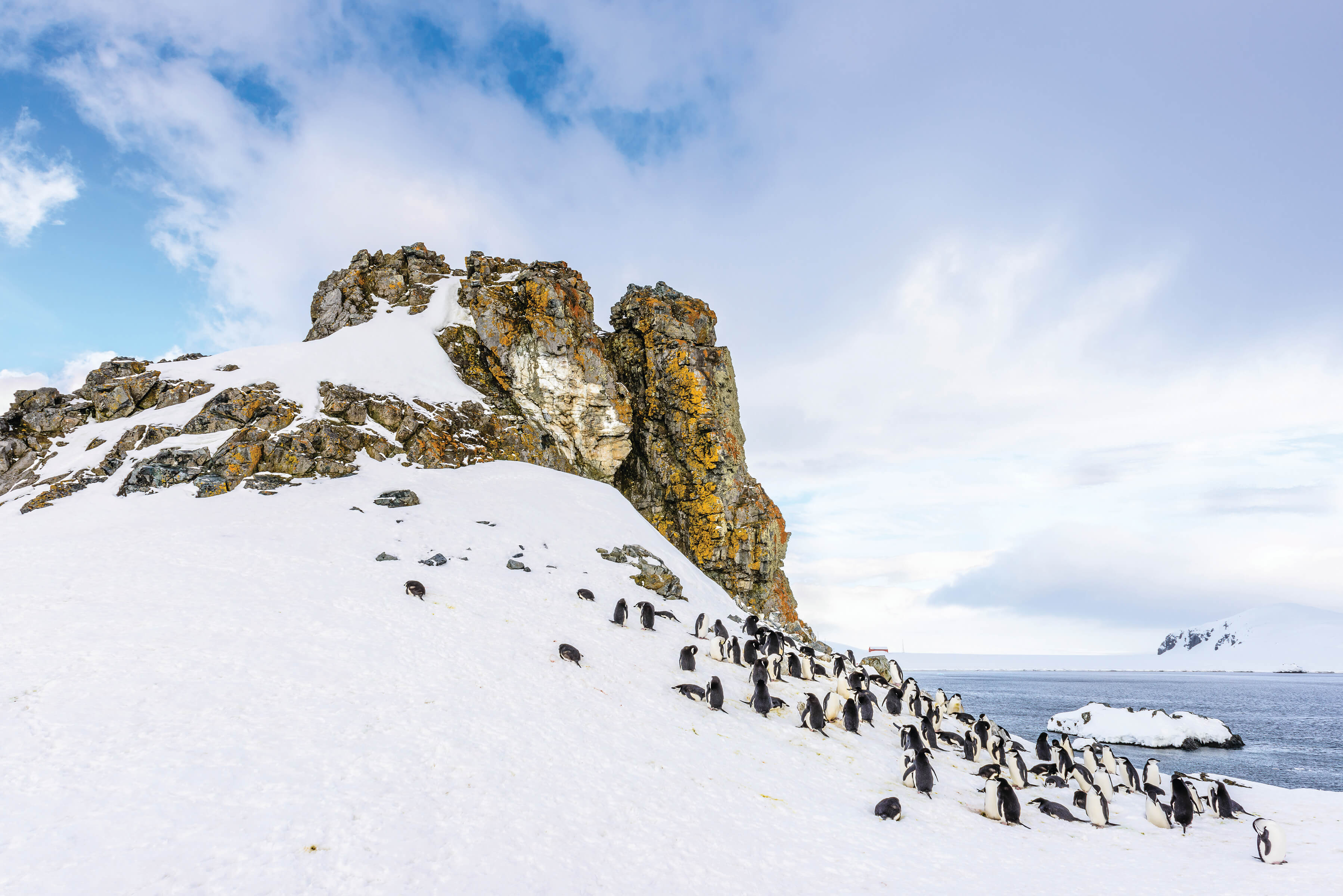 South Shetland Islands Antarctic Peninsula Region Go Next south-shetland-islands-antarctic-peninsula-region-go-next