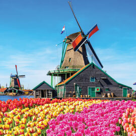 Dutch-Windmills