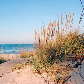 Lake Michigan