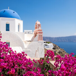 Scenic view of traditional cycladic houses with flowers in foreg