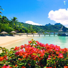 Bora Bora Tahiti Flowers