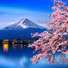 Fuji mountain and cherry blossoms in spring, Japan.
