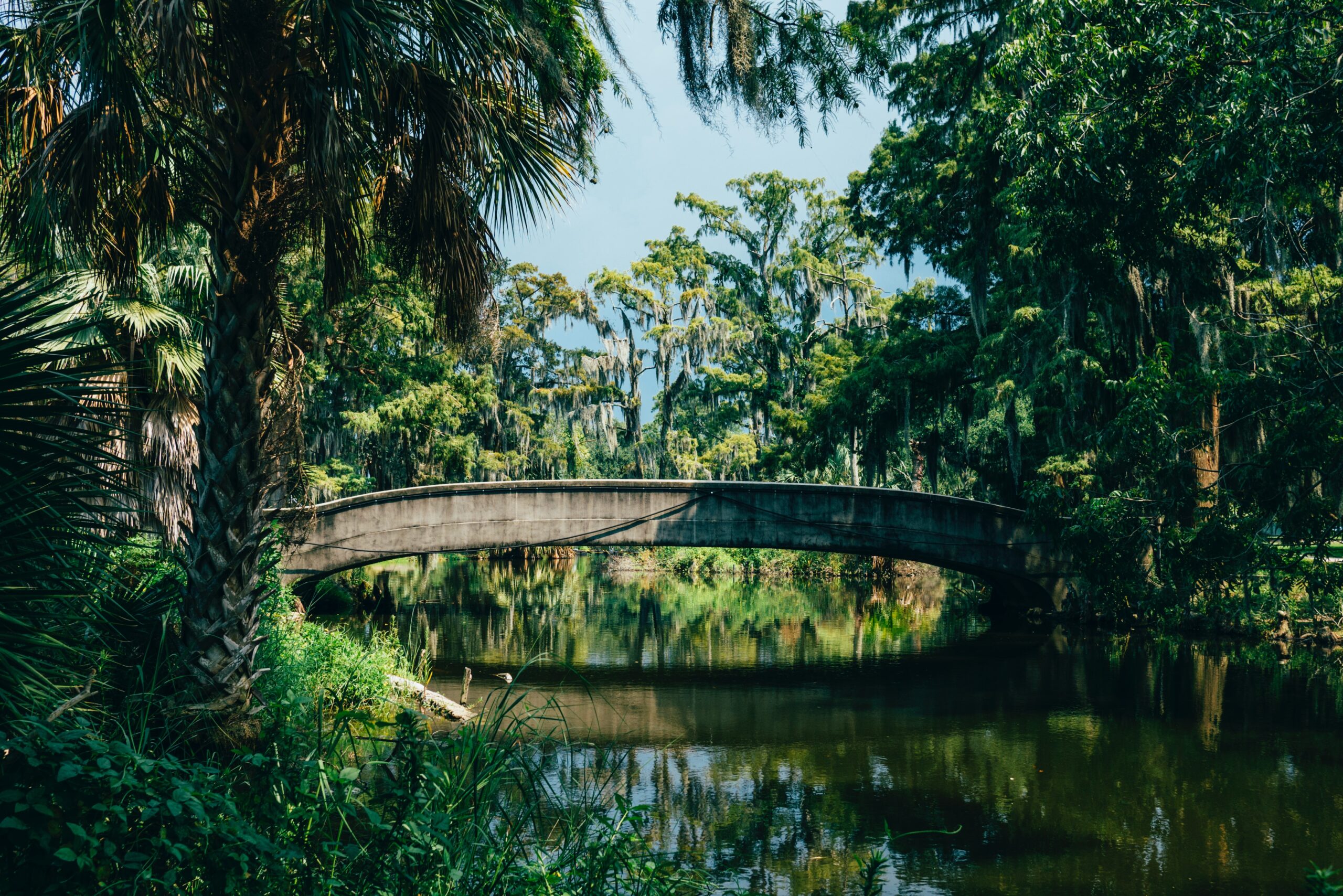 susan-q-yin-yphDs-x91rE-unsplash