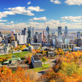 Autumn Colors in Montreal City
